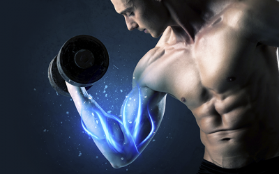 Protección Muscular, ¿Cómo podemos proteger nuestros músculos?